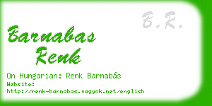 barnabas renk business card